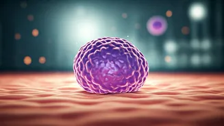 New Data Unveils Zasocitinib's Promising Efficacy in Plaque Psoriasis Treatment