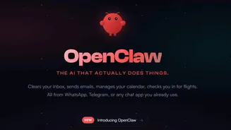 Meta takes over Moltbook, the viral social media website for AI chatbots