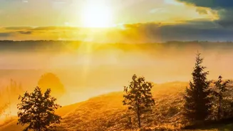 Science-Backed Energy Fix: 10 Minutes Of Morning Sun Resets Rhythms And Alertness