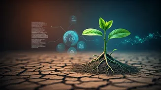 Navigating Cancer Treatment: Understanding Options, Side Effects, and Support