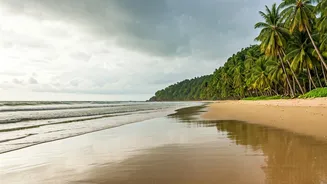 Empty Shores Make Goa Feel New Again