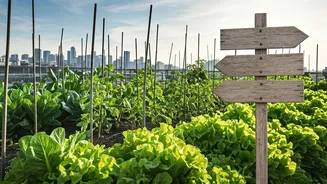 Why Government Support Transformed Urban Gardening From Hobby To Movement