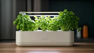 Grow Fresh Kitchen Herbs Effortlessly Using Smart Indoor Hydroponic Kits