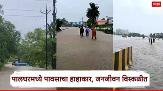 Palghar Rain News: पालघरमध्ये पावसाचा हाहाकार, सूर्या आणि वैतरणा नद्यांनी धोक्याची पातळी ओलांडली; डहाणूमध्येही जनजीवन विस्कळीत