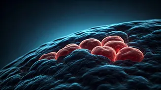 The Shocking 72% Cancer Risk: How Poor Sleep Undermines Your Health