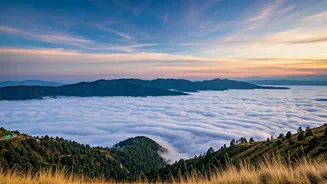 Fresh Western Disturbance Creates Surreal Misty Cloud Overlook Views