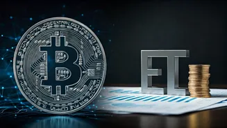 Digital Gold And ETFs Serve Different Needs