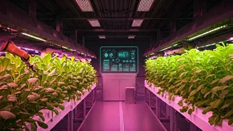 Urban Farming Industry Rebranded Via Sexy New Technology Integration