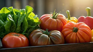 Why Terrace Gardening Trends Shift Toward High Yield Heirloom Seeds