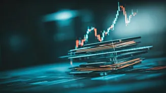 Decoding Hybrid Funds: A Comprehensive Guide