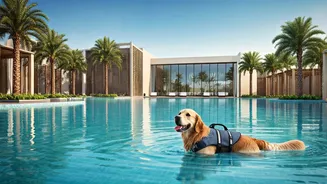 Luxury Cage-Free Pet Resorts With Pools See Massive Bookings