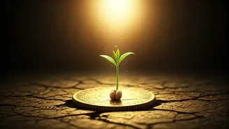 Beyond Wealth: Unlocking True Happiness When Money Falls Short