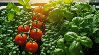 Balcony Farming Is Officially Gen Z's New Hobby