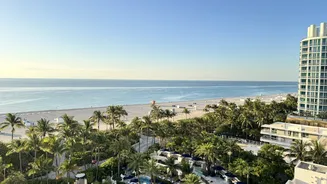 Um dia de luxo em Miami com massagem, compras e suingue