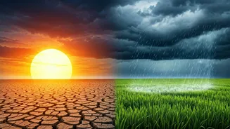 Food Prices Link Climate To Daily Life
