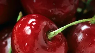 How Tart Cherry Juice Helps Reduce Soreness And Support Muscle Repair Daily