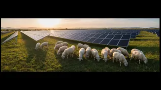 Volkswagen's Factory Turns Renewable Energy Maintenance Into A Collaborative University Study