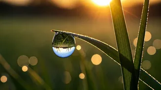Beyond the Breakup: 7 Subtle Signs of Profound Personal Transformation