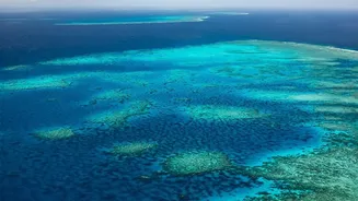 From Brisbane to the Reef, Queensland Attracts More Indian Tourists