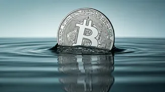 WazirX's Restart: Navigating Crypto's Rocky Waters in India