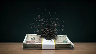 Budget 2026: The Likely Fate of the Old Tax Regime