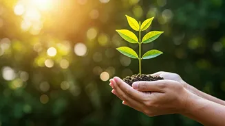 Co-parenting in India: Nurturing Children's Well-being Post-Separation