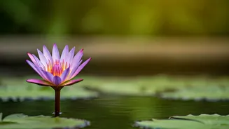 Confronting Breakups: A Guide to Recovery & Self-Love