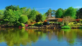 Step Away From Skyscraper Views: Discover Japan Most Peaceful Urban Nature Parks Today