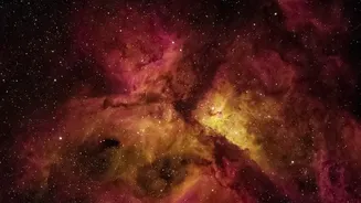 How Space Telescope Scans Allow Astronomers To See Stars Born In Dust