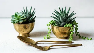 Turn brass utensils into chic planters