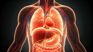 10 Metabolic Goals for a Healthier You by 2026