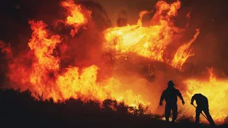 Wildfires, heatwaves may worsen air quality, pose health risks: UN