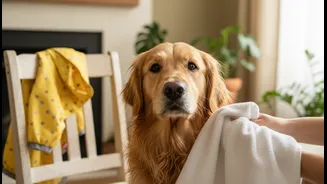Dog Raincoats Are Cute, But Skin Care Does The Real Work