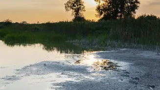 Kosi River's Flood Problem: How Mountains, Sediment And Flat Plains Interact