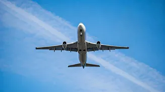 India's Evacuation Plan: Citizens From Iran