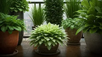 Build A Beautiful Rain-Ready Balcony Garden This Season