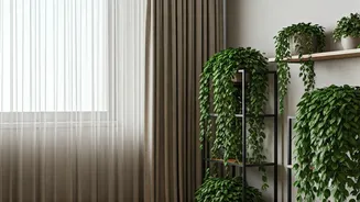 Create Dreamy Reading Corners With Linen Drapes And Trailing Plants