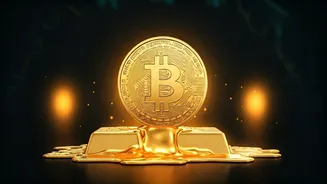 Round Up Daily Online Payments To Buy Fractional Digital Gold