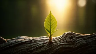 At 111, America's Oldest Man Shares 3 Simple Habits for an Extraordinary Long Life