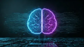 Related Stories banner