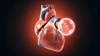 Is It Heart Attack Or Gas? Know The Signs.