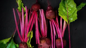 Beetroot Nitrate Micro-Dosing Increases Muscle Oxygen Absorption During Short High-Speed Sprints