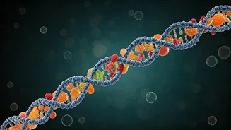 Decoding Your Diet: Genes, Food, & You