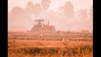 Spring Fires in India Exceed Autumn Stubble Burning in Scale