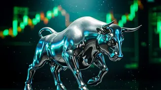 Goldman Sachs' Report On Indian AI Firms Links Its Stock Market Outlook To Future AI Listings