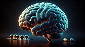 Unlock Your Brain's Potential: A Deep Dive into Nootropics and Brain Supplements