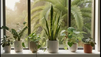 Bring Fresh Greenery Indoors This Monsoon