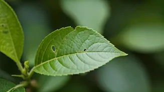 Related Stories banner