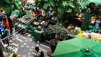 Food Tourism Now Includes Browsing Local Grocery Aisles
