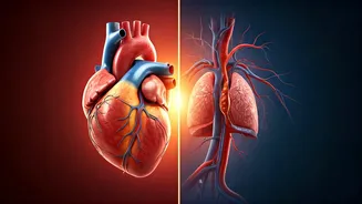 Saturated vs. Unsaturated Fats: How They Impact Your Heart Health Differently
